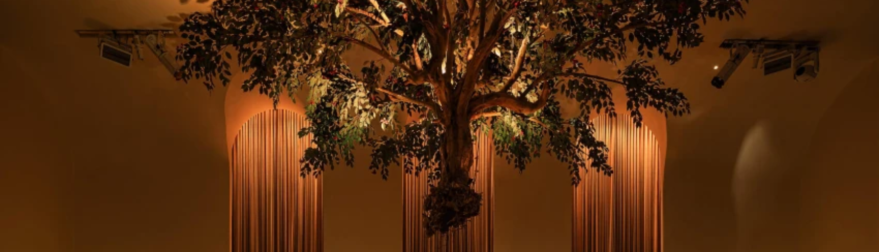 Uma Nota: When the unexpected becomes the unforgettable.