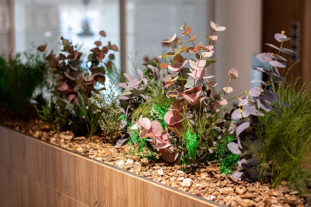 Biophilic & Acoustic Wall Systems for Interior Architecture