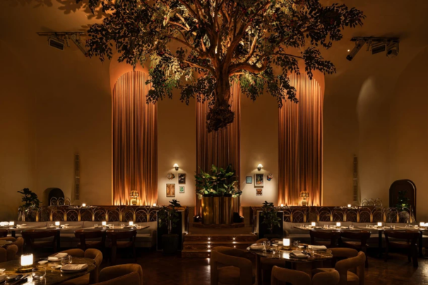 Uma Nota: When the unexpected becomes the unforgettable.